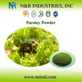 Pure Parsley powder 60-80mesh, 100mesh, 200mesh